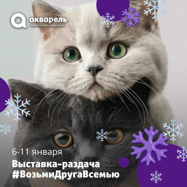 Выставка-раздача #ВозьмиДругаВсемью  6-11 января 