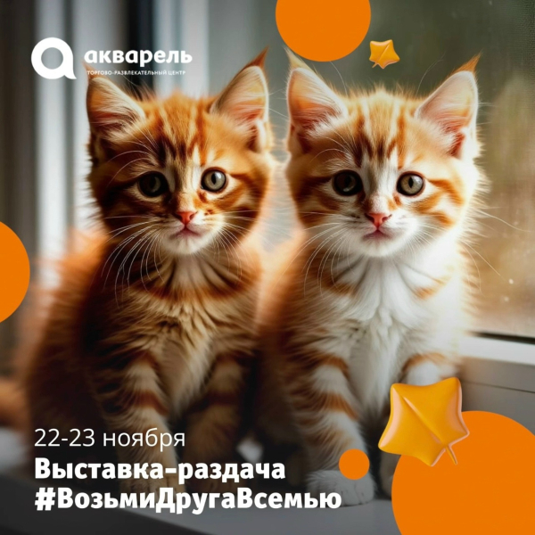 22 и 23 ноября с 13:00 у нас будет проходить выставка-раздача #ВозьмиДругаВсемью