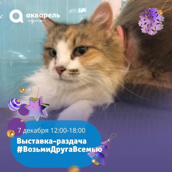 Выставка-раздача #ВозьмиДругаВсемью 7 декабря с 12:00 до 18:00 