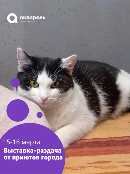 15-16  марта  выставка-раздача #ВозьмиДругаВсемью!