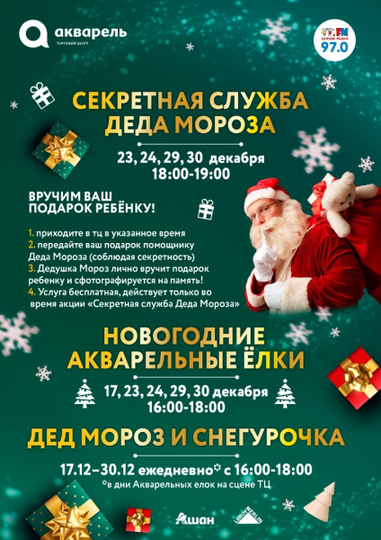 СЕКРЕТНАЯ СЛУЖБА ДЕДА МОРОЗА 29 декабря