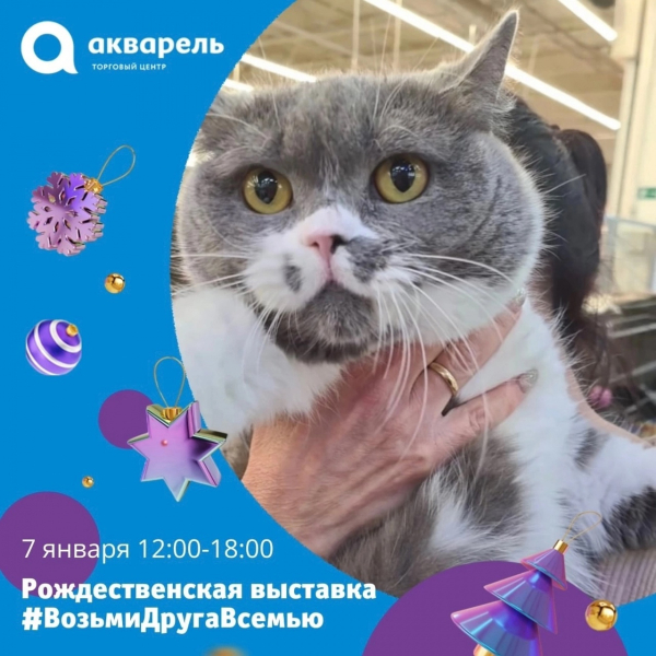 Рождественская выставка-раздача #ВозьмиДругаВсемью