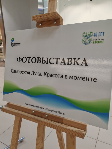 ФОТОВЫСТАВКА Самарская Лука. Красота в моменте.