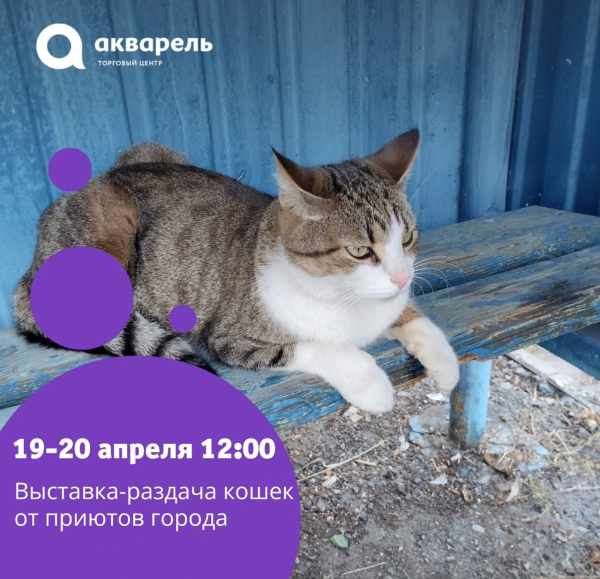 Выставка-раздача #ВозьмиДругаВсемью  19-12 апреля 