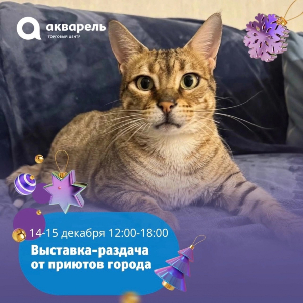 Выставка-раздача #ВозьмиДругаВсемью от приютов города  14 и 15 декабря 