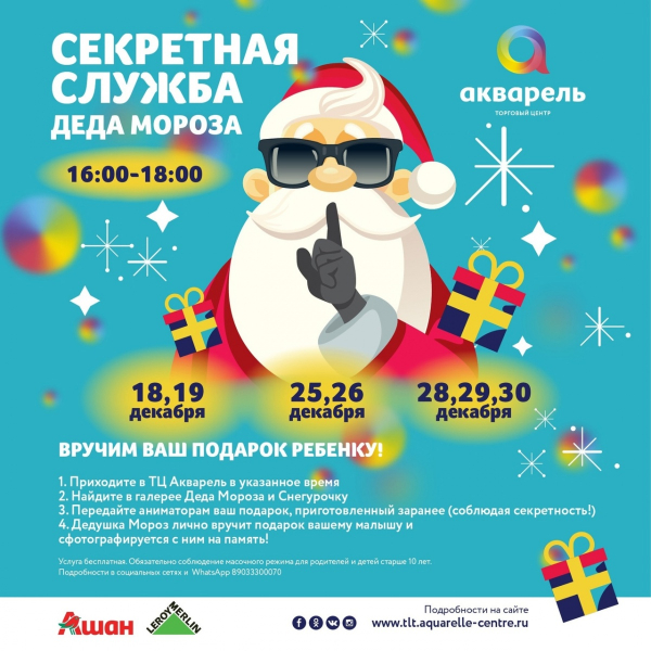 СЕКРЕТНАЯ СЛУЖБА ДЕДА МОРОЗА 29 ДЕКАРЯ