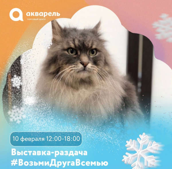 Выставка-раздача #ВозьмиДругаВсемью