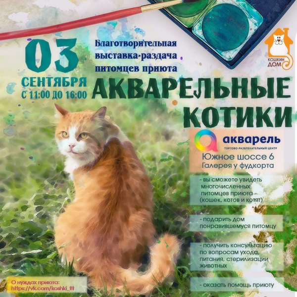  Выставка-раздача питомцев приюта «Кошкин Дом»