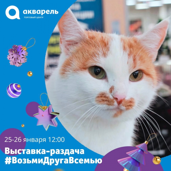 Выставка-раздача от приютов города 25 и 26 января 