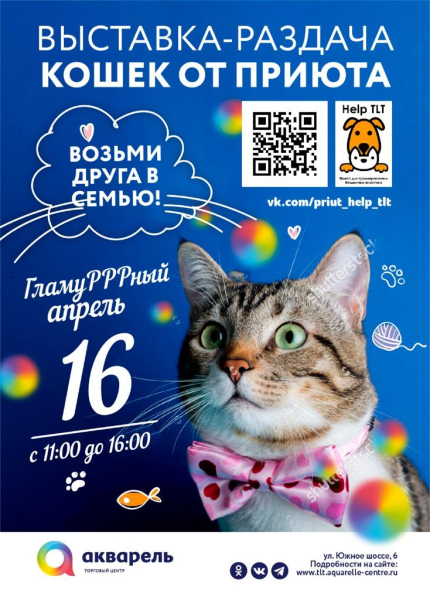 БЛАГОТВОРИТЕЛЬНАЯ ВЫСТАВКА-РАЗДАЧА КОШЕК ОТ ПРИЮТА HALP