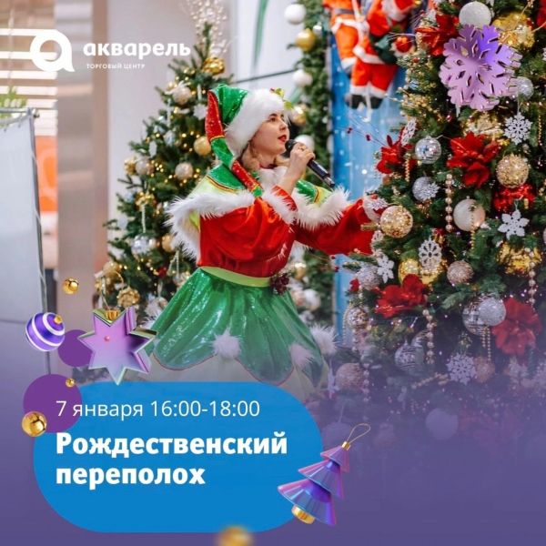  «Рождественский переполох»!