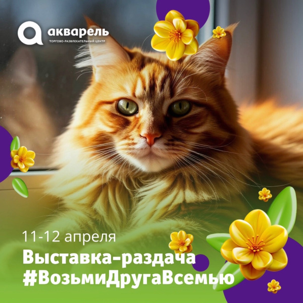 11 и 12 апреля с 13:00  #ВозьмиДругаВсемью.