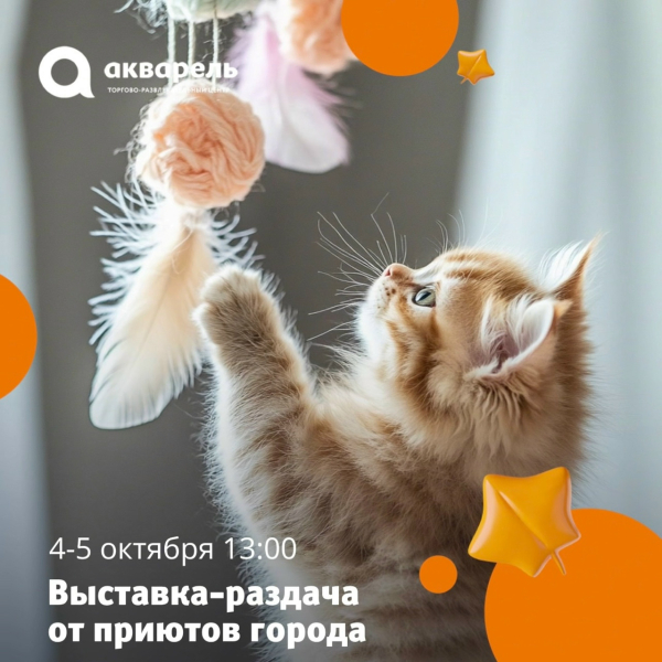 Выставка-раздача #ВозьмиДругаВсемью 4-5 октября 