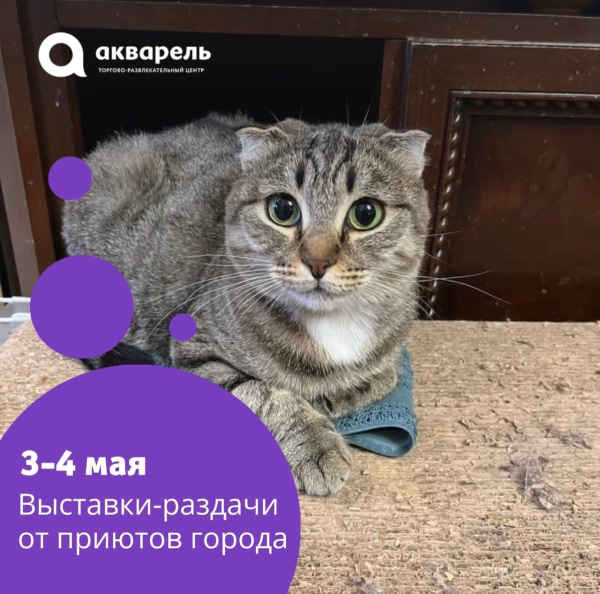Выставка-раздача #ВозьмиДругаВсемью  3-4 мая 