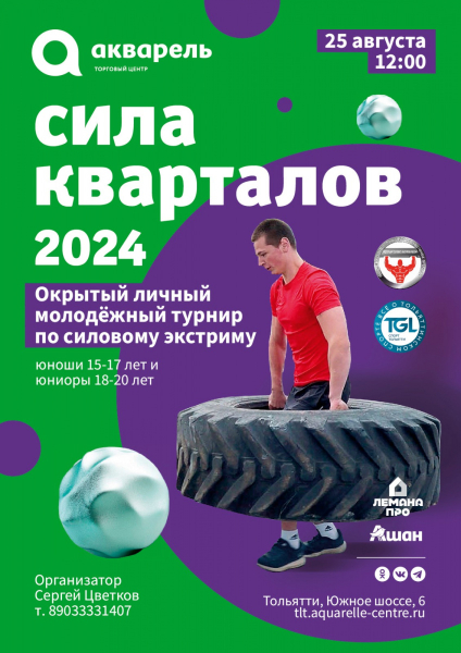 СИЛА КВАРТАЛОВ 2024