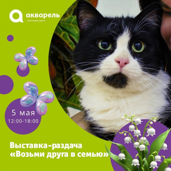  Выставка-раздача кошек и котят приютов «Дом малютки» и «Кошкин дом» 5 мая 