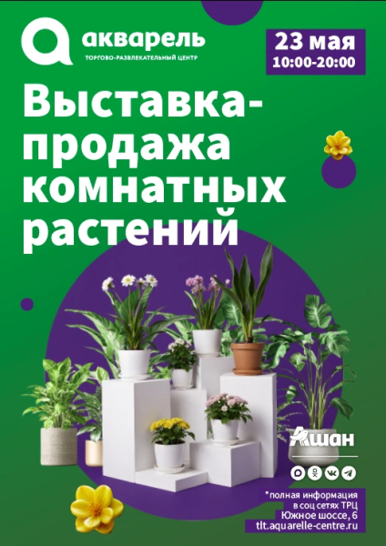 Выставка-продажа комнатных растений . 