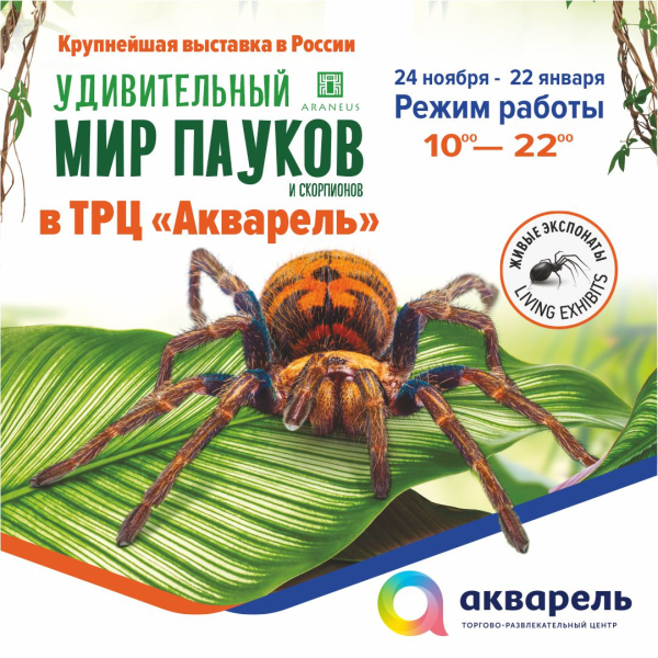 ВЫСТАВКА "МИР ПАУКОВ И СКОРПИОНОВ" - ТЦ «Акварель» - Тольятти