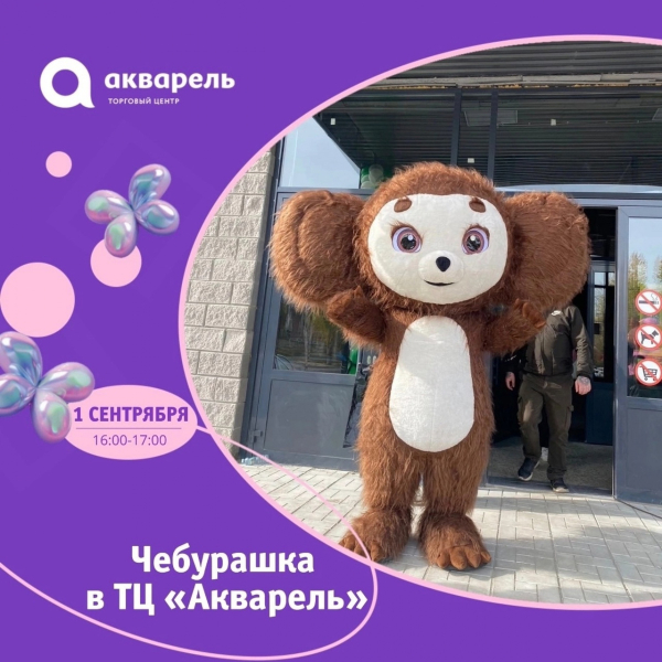  1 сентября с 16:00 до 17:00 встреча с любимым Чебурашкой!
