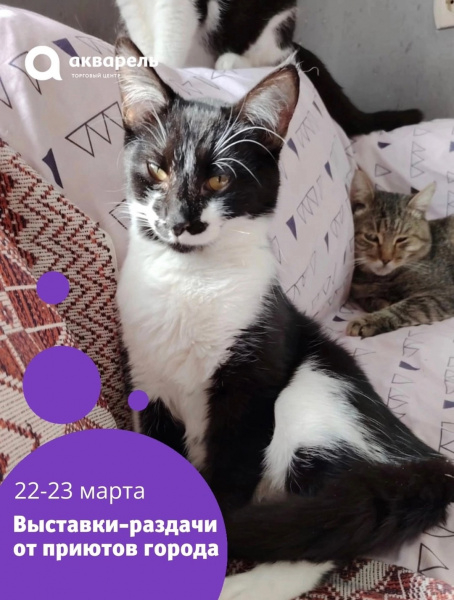 22-23 марта с 12:00 снова ждём всех на выставки-раздачи