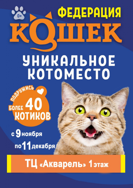 ФЕДЕРАЦИЯ КОШЕК С 9 НОЯБРЯ ПО 11 ДЕКАБРЯ