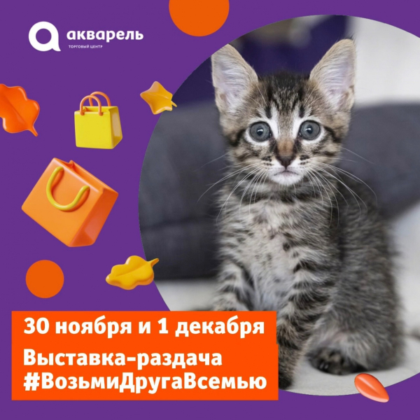 30 ноября и 1 декабря с 12:00 до 18:00  выставка-раздача #ВозьмиДругаВсемью