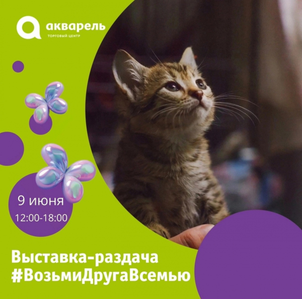 Выставка-раздача кошек и котят приютов «Дом малютки» и «Кошкин дом»