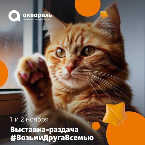выставка-раздача "Возьми друга в семью"   1 и 2 ноября 